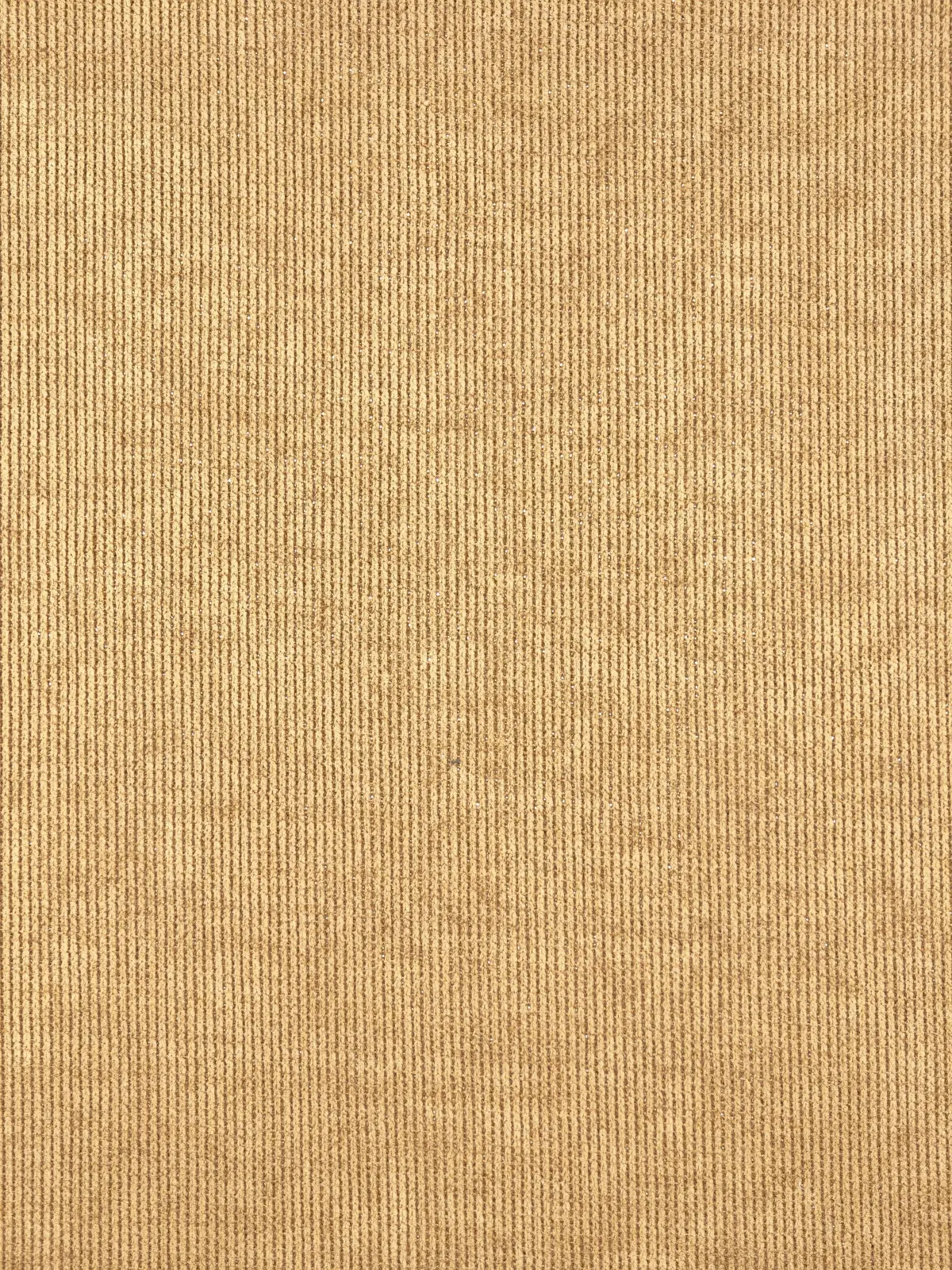 NIUNIU TEXTILE 欧棉绒 P:100%